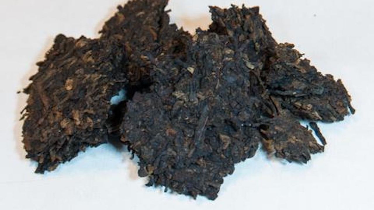 Ripe Puerh Collection