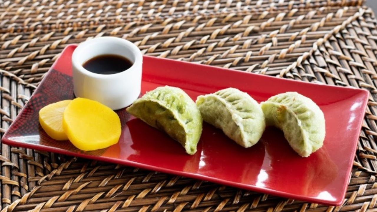 13. Pan Fried Dumplings (3)