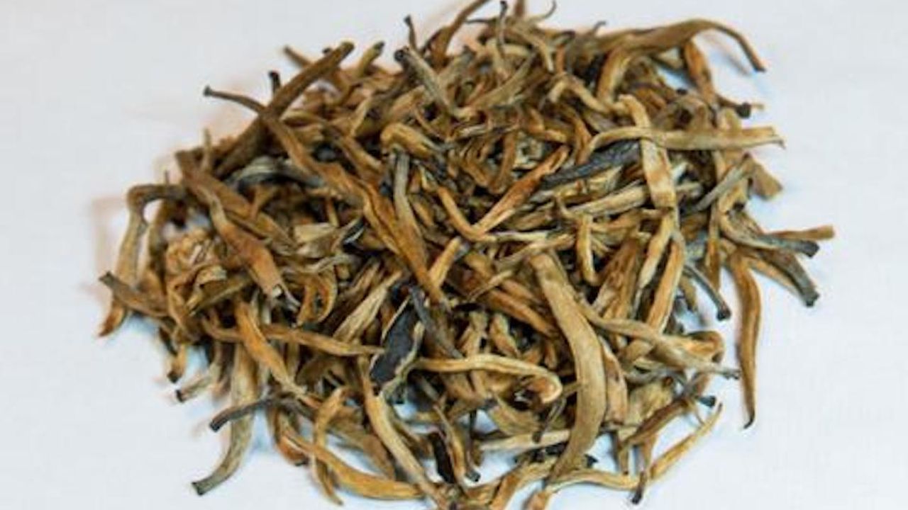 Golden Tip Reserve