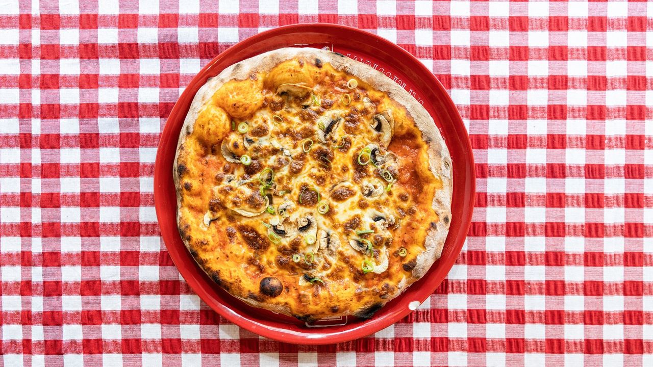 Funghi