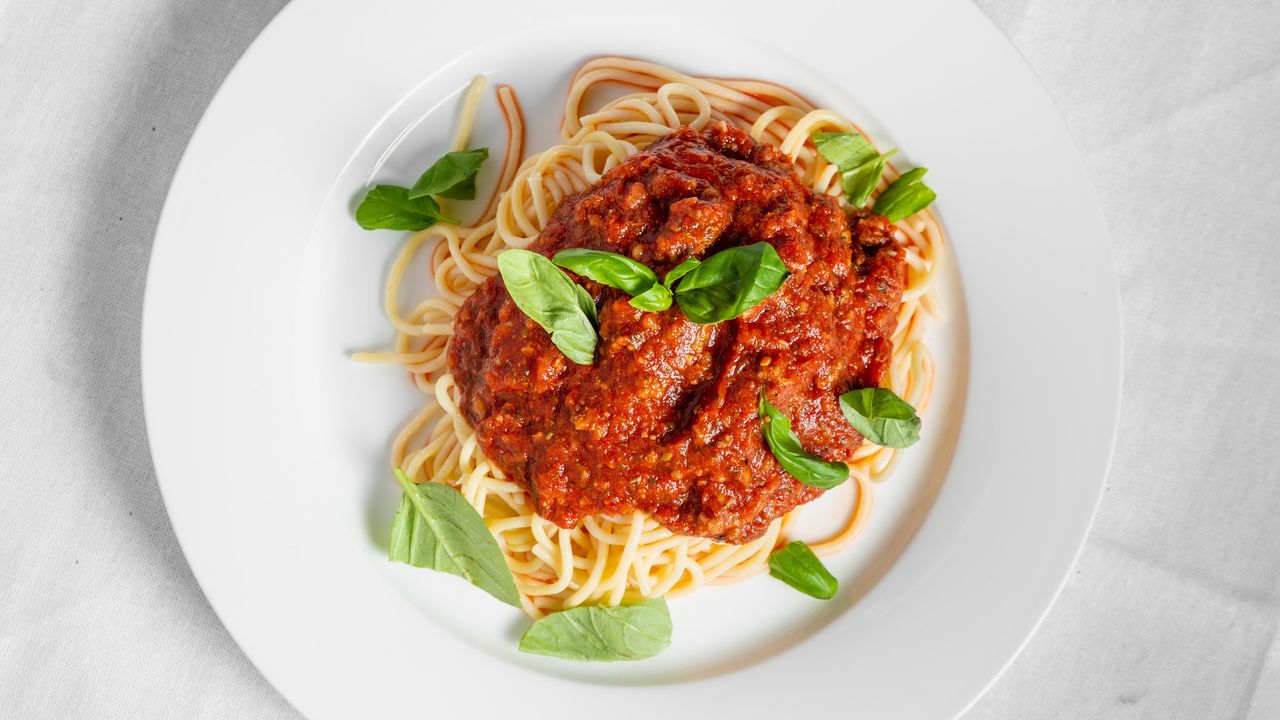 Bolognese (Medium)