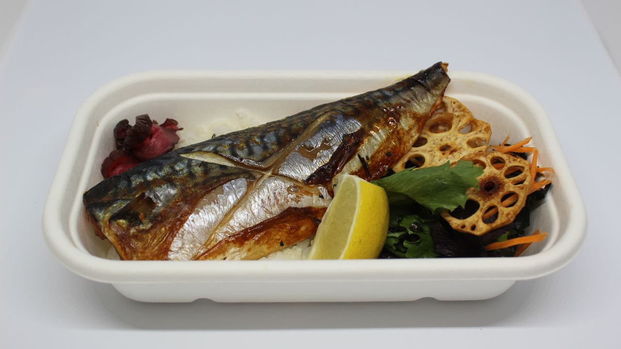 Saba shioyaki bento