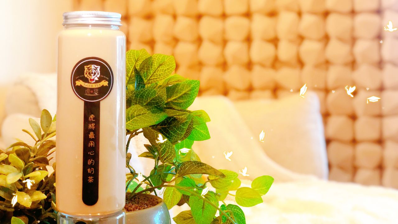 English Breakfast Tiger Milk Tea(Light)
