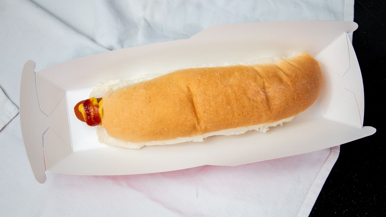 Regular Hot Dog