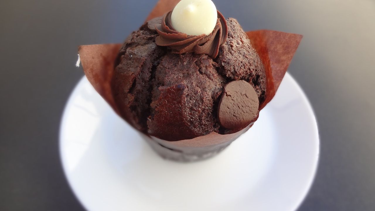 Double Chocolate Muffin