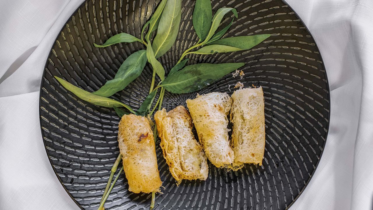 Spring Rolls Vegetarian