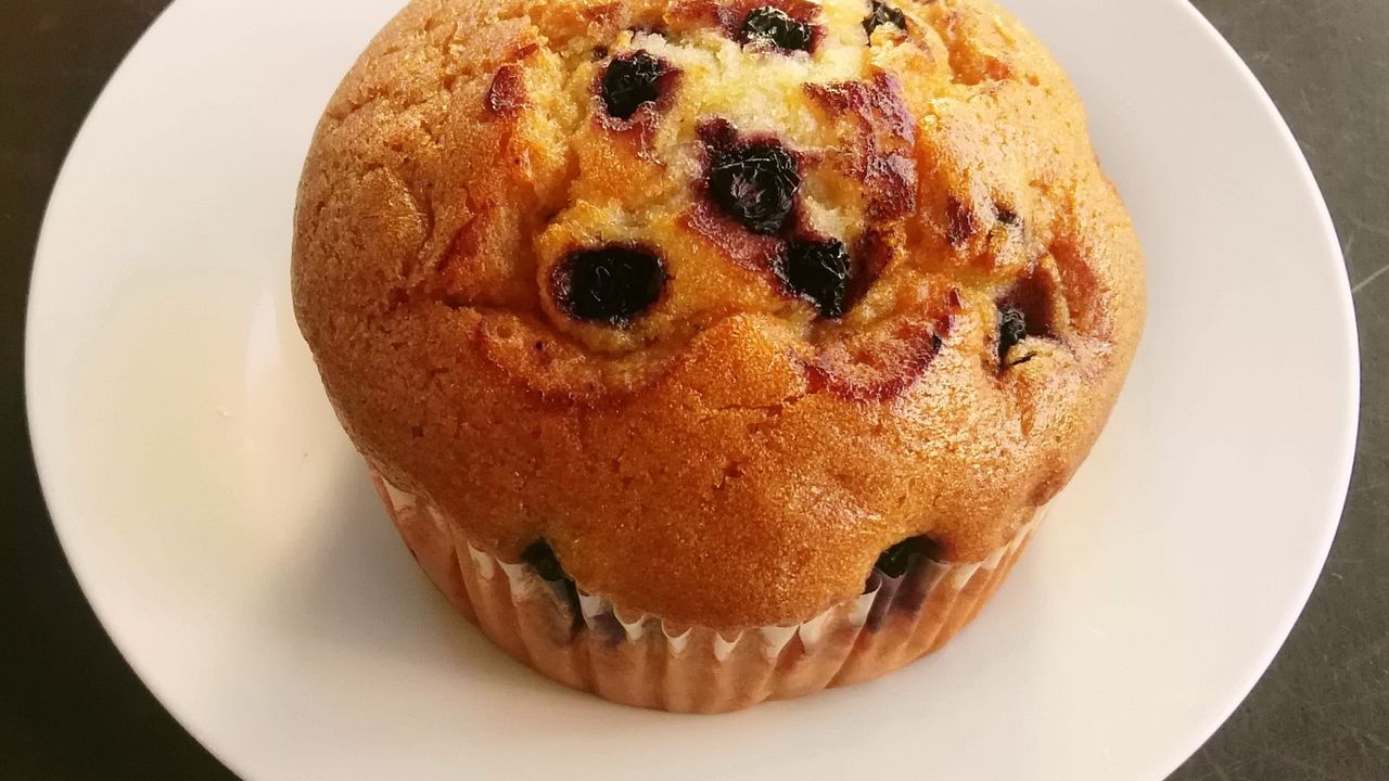 Blueberry Muffin