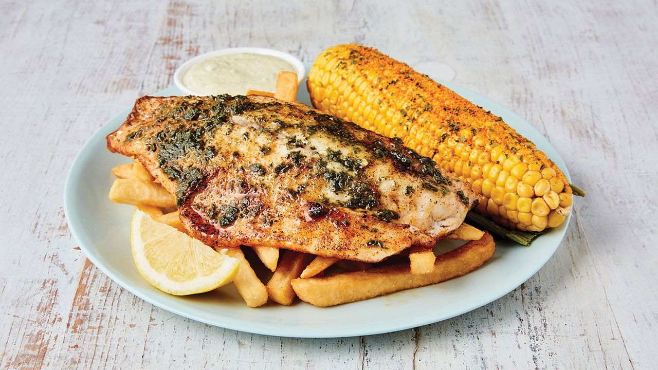 Barramundi