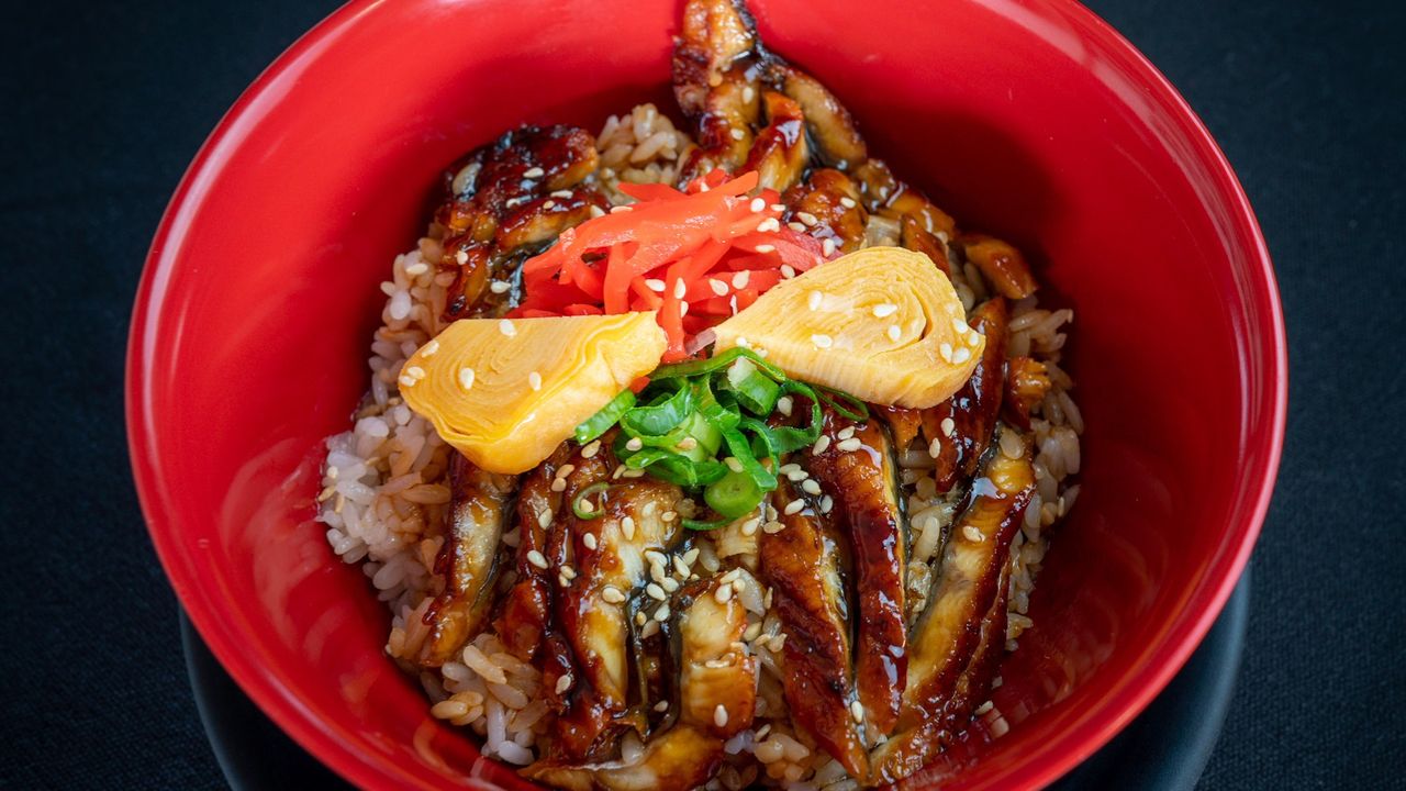 Unagi (Eel) Donburi