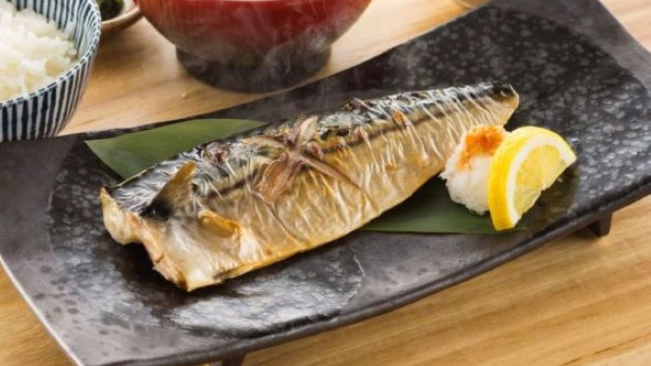 Saba Shio-yaki Bento