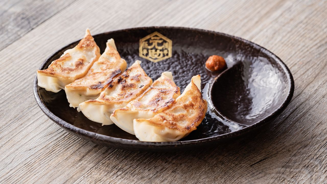 Gyoza (5)
