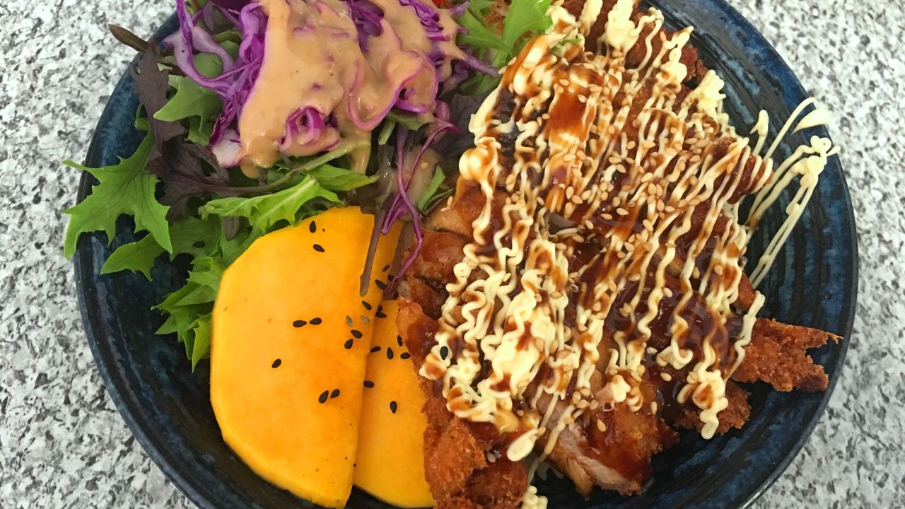 Tokyo Donburi Special