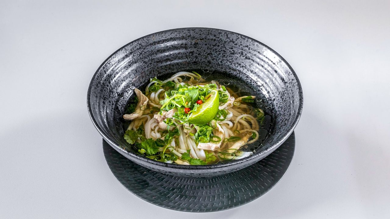 Shredded Breast Fillet