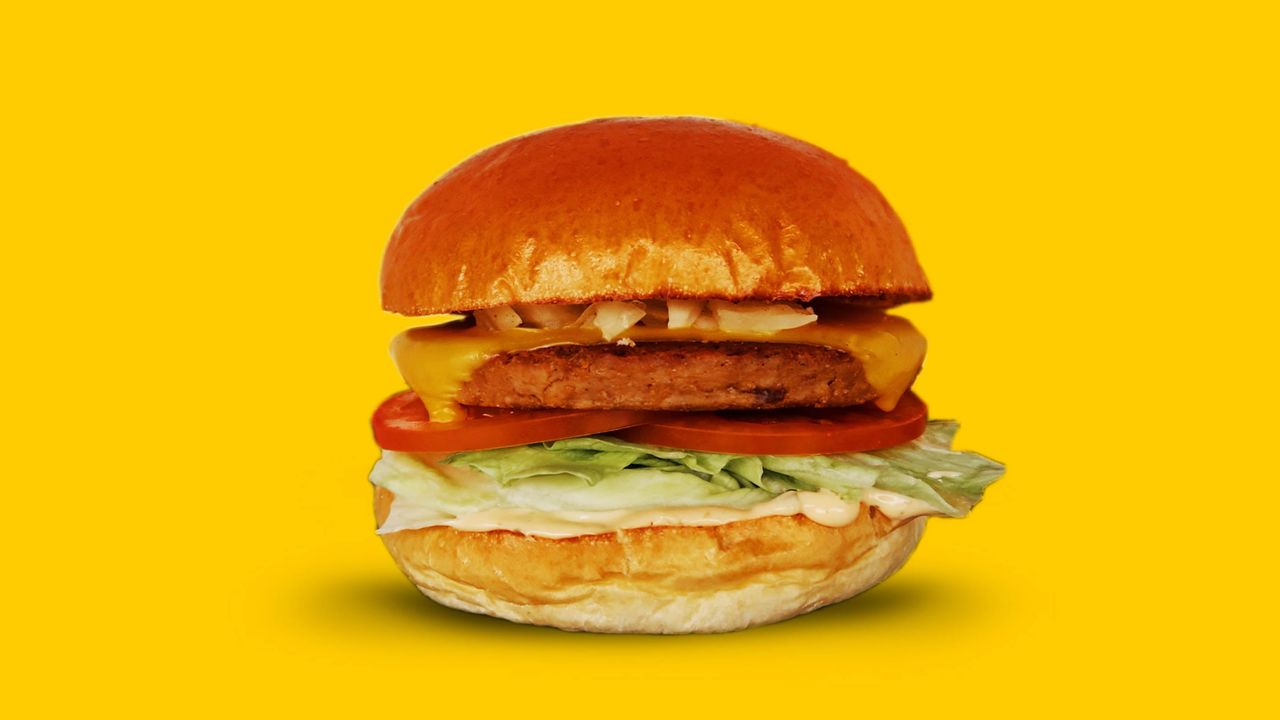 Veggie Patty Single Burger (V)