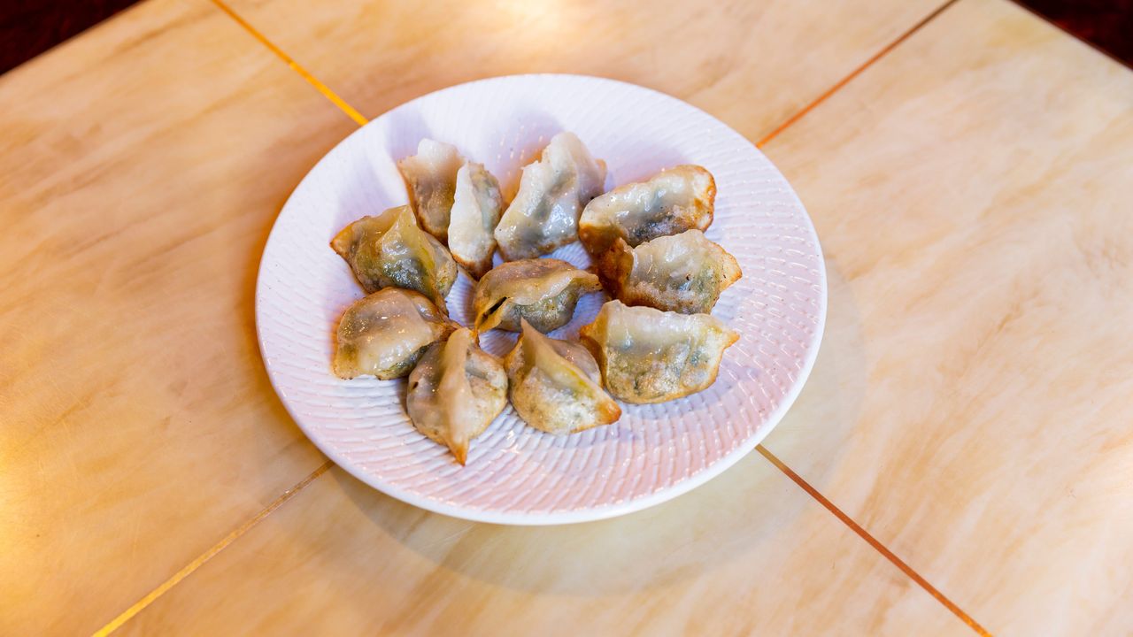 Fried Vegetarian Dumplings