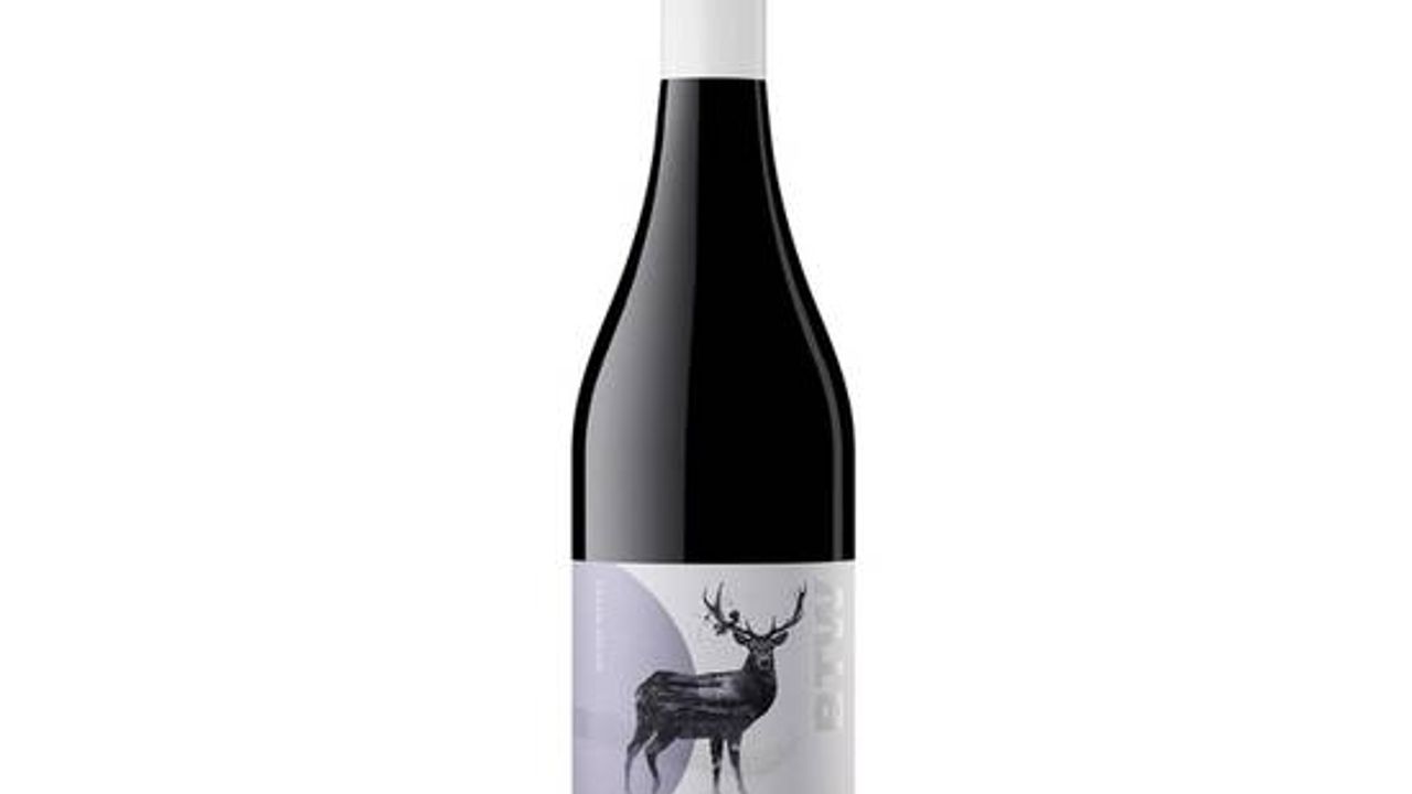 2019 Zilzie BTW Shiraz
