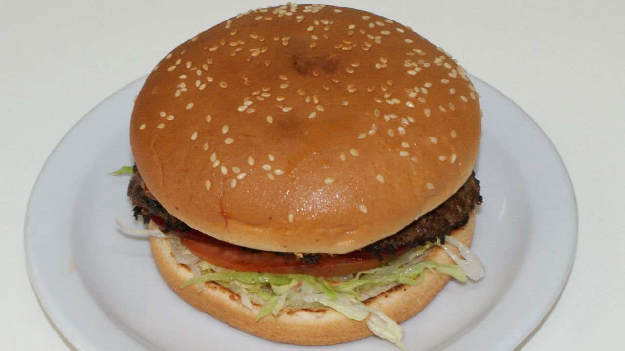Hamburger Plain