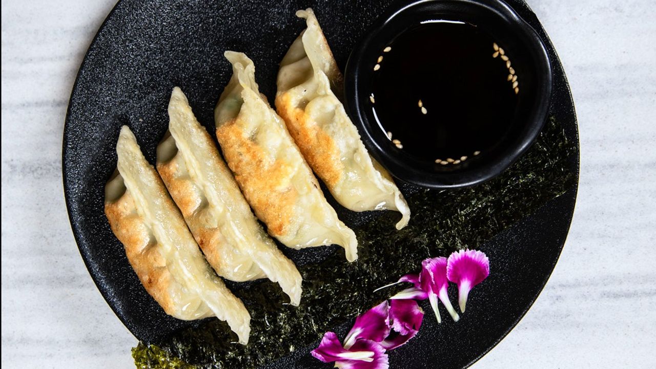 Kaisen Gyoza