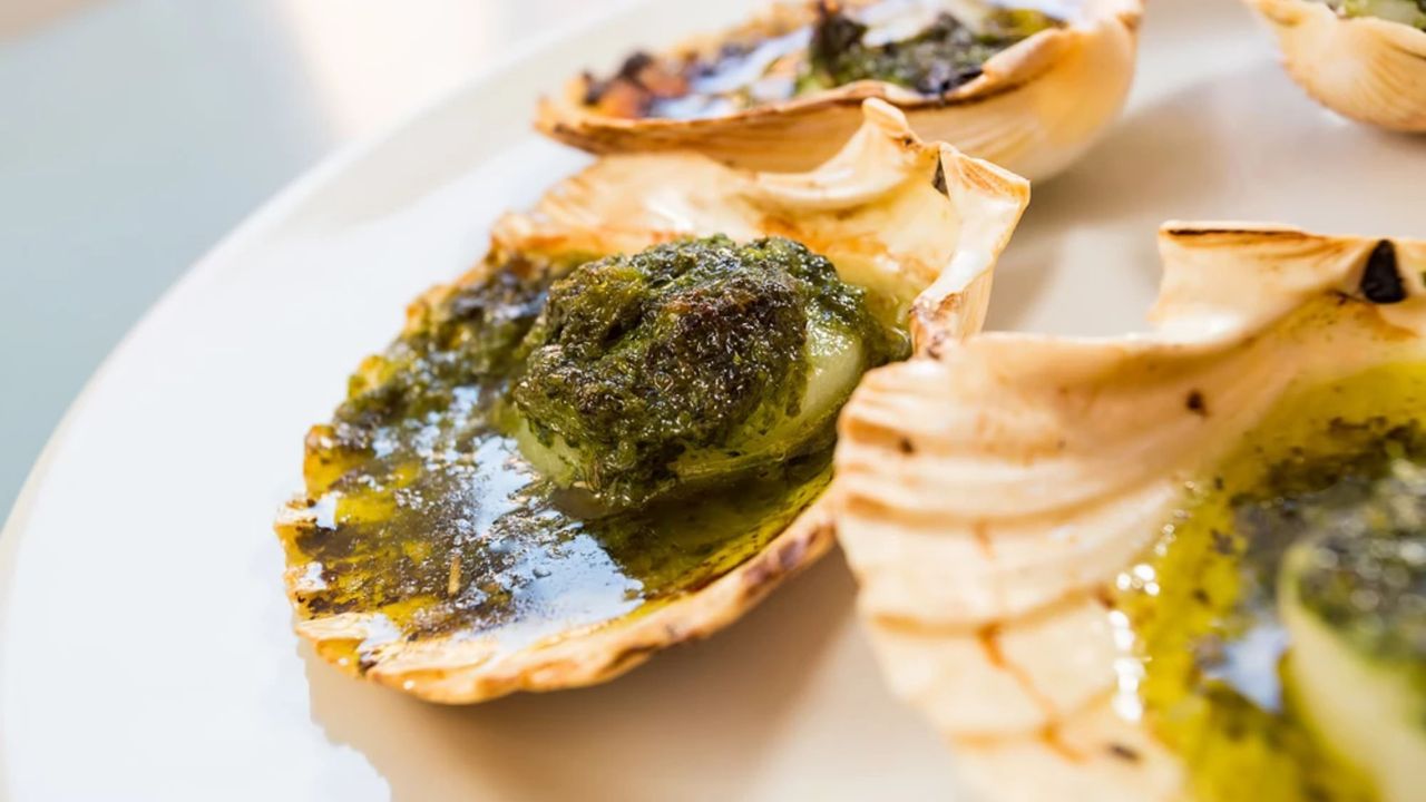 Scallops
