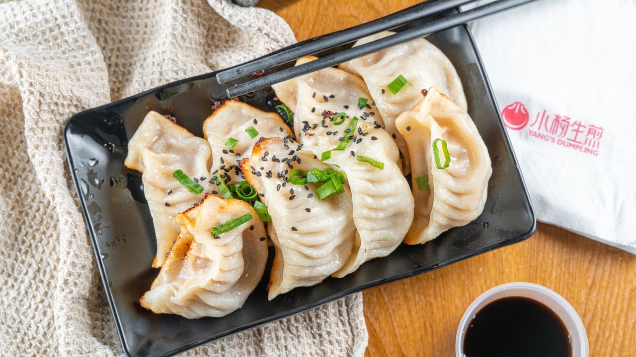 Pan Fried Pork Dumplings