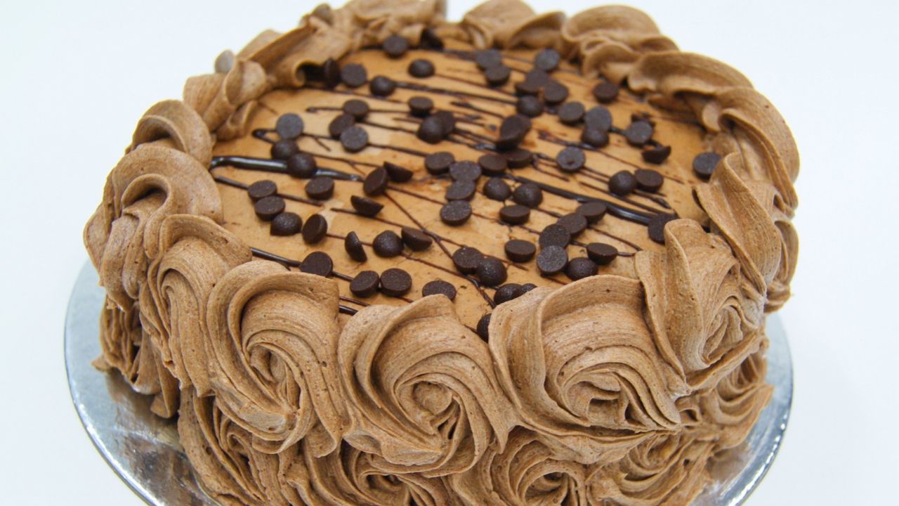 6" Chocolate Sponge Cake