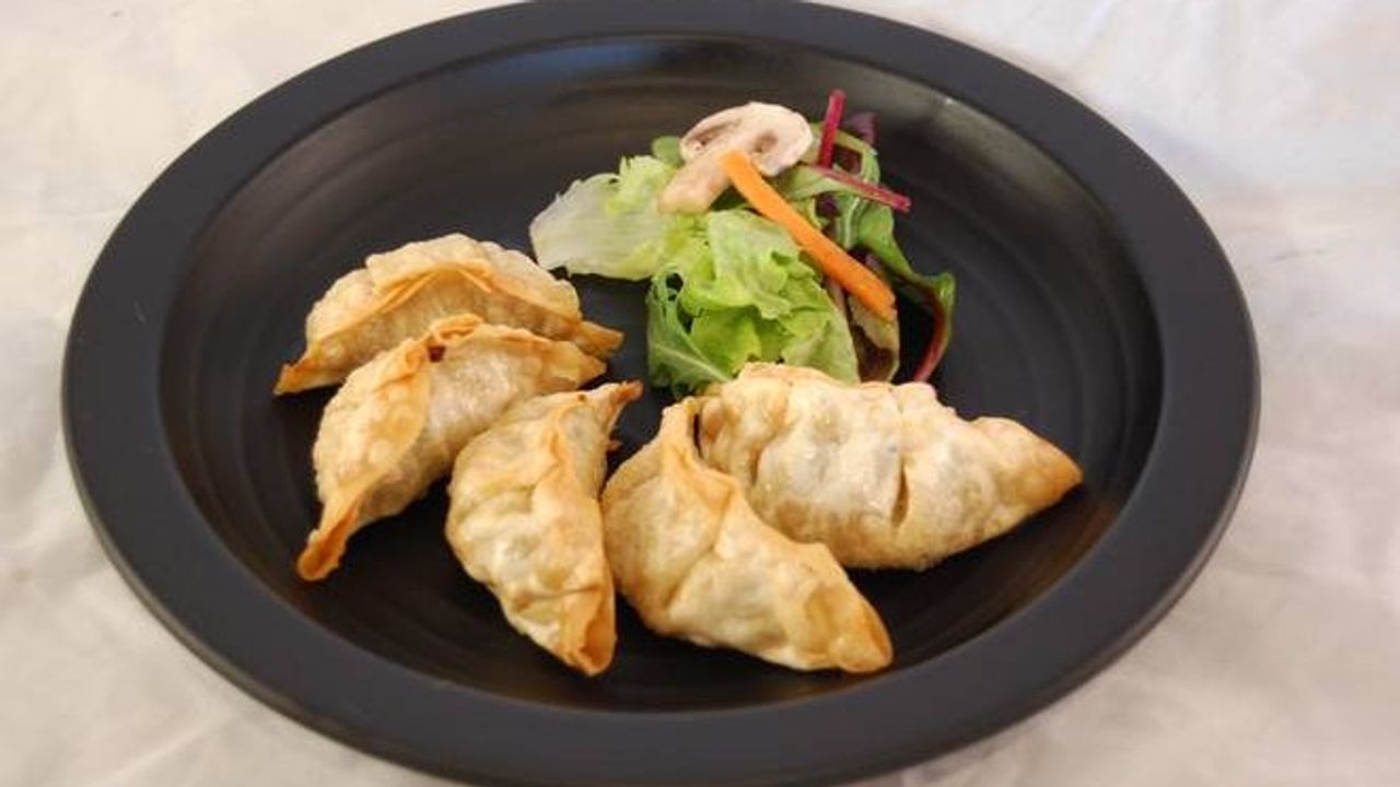 Fried Vegie Dumplings