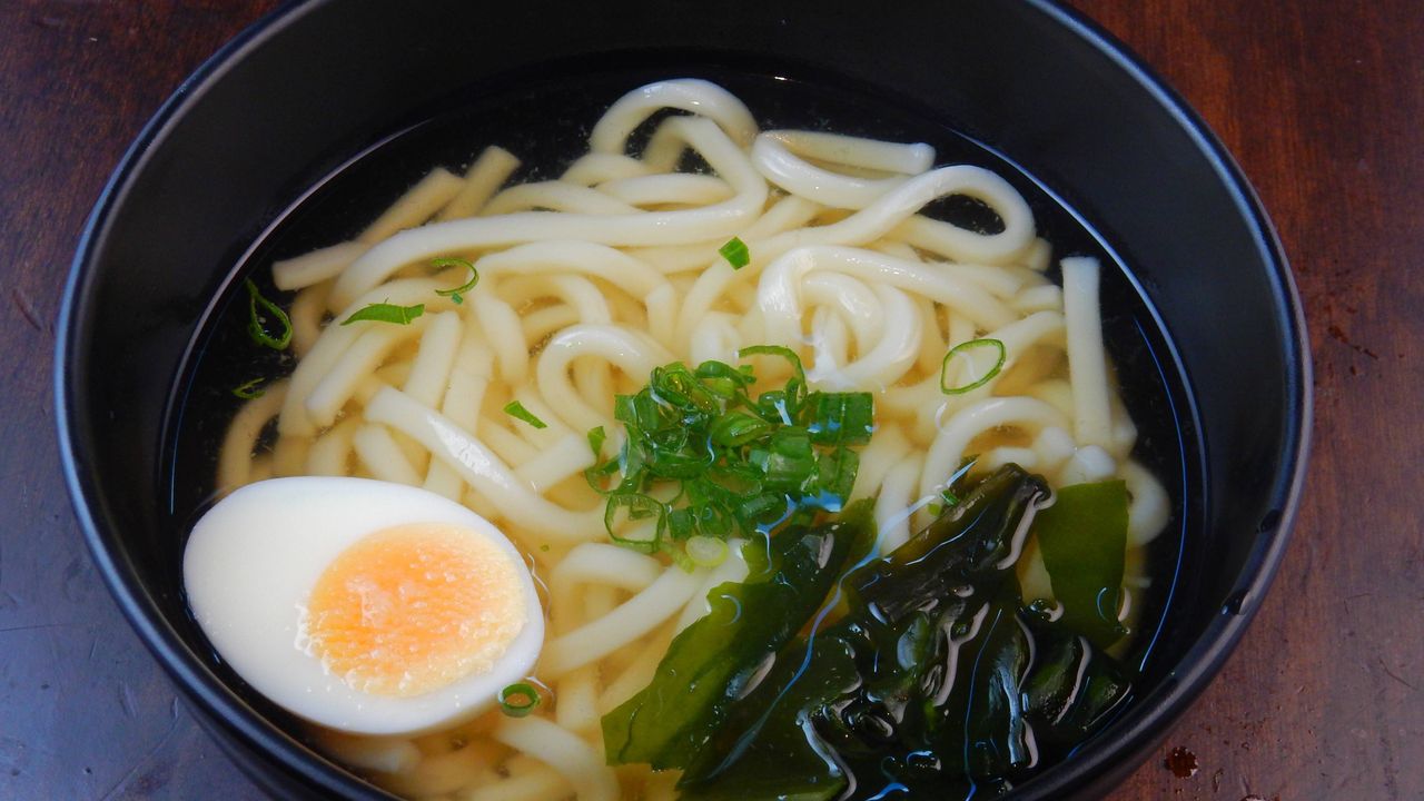 Plain Udon