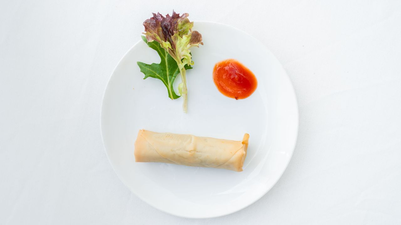 Meat Spring Roll