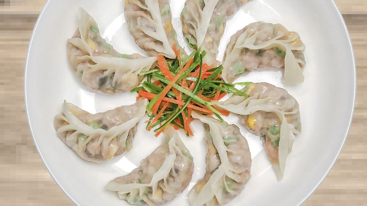 Chicken & Vegetable Dumpling
