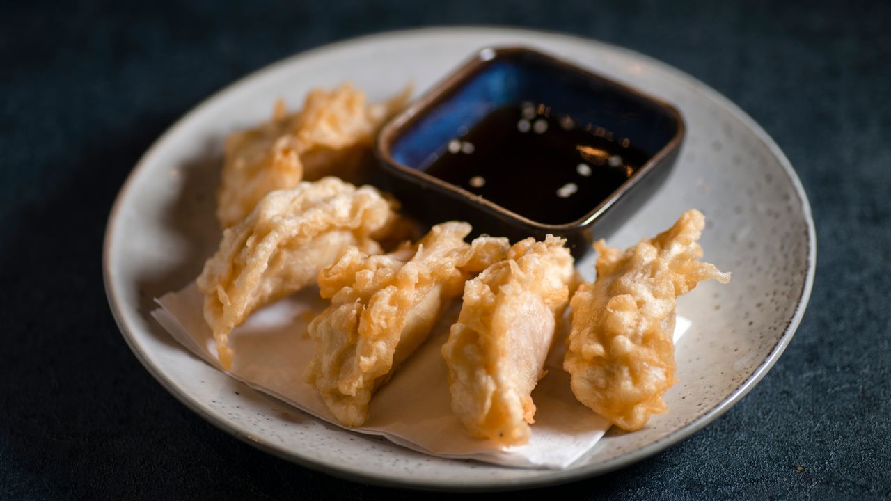 S4 Age Gyoza