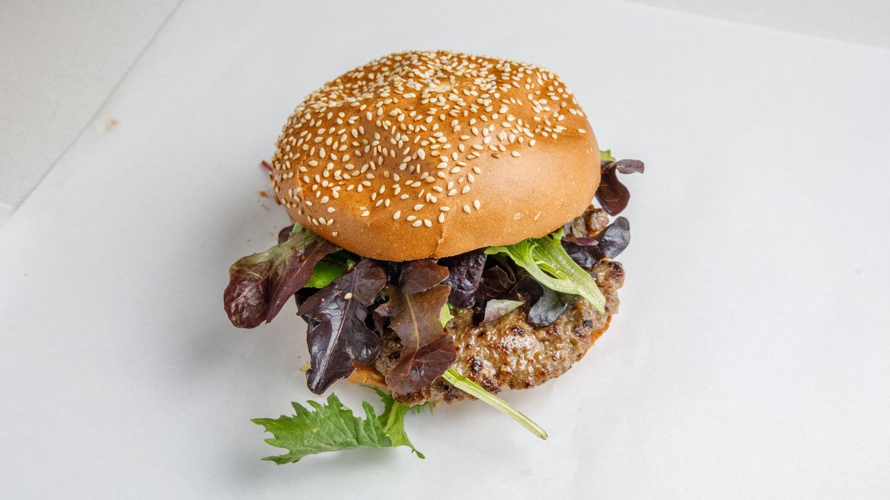 Plain Burger