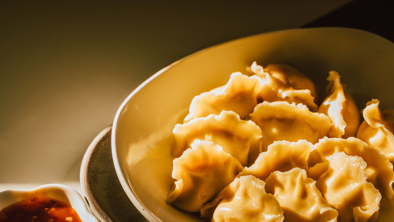 E13. Chicken Pan-Fried Dumplings (6)