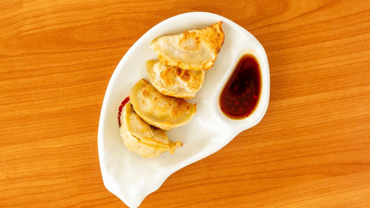 Pan Fried Dumplings