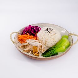Soy Sauce Chicken with Rice